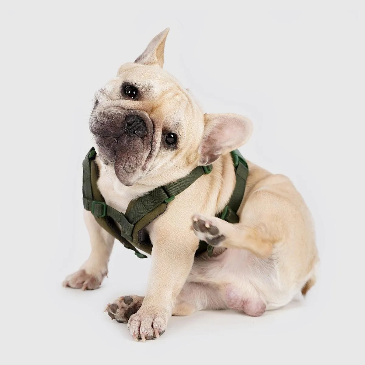 Explore| Adjustable Harness with Leather Green