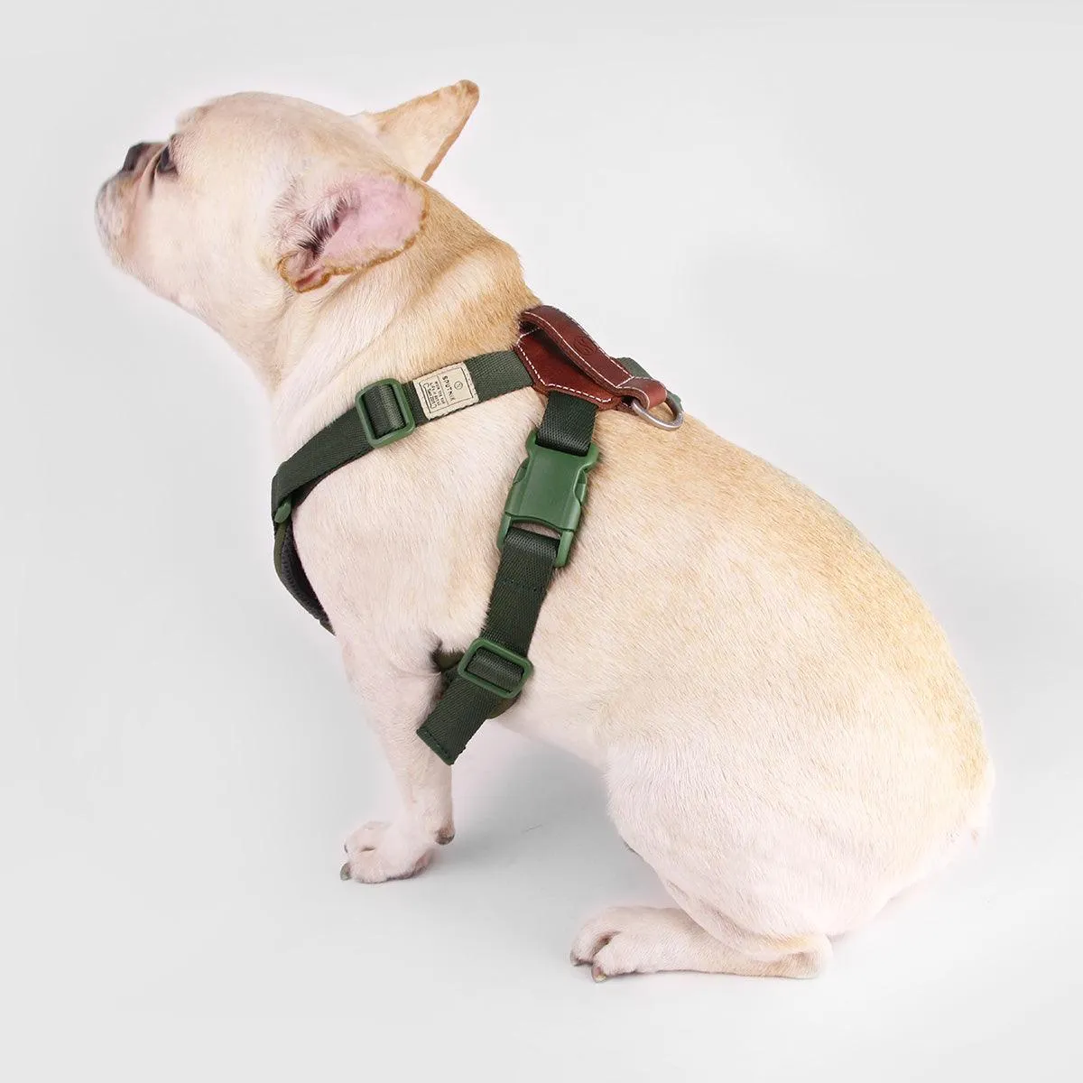 Explore| Adjustable Harness with Leather Green