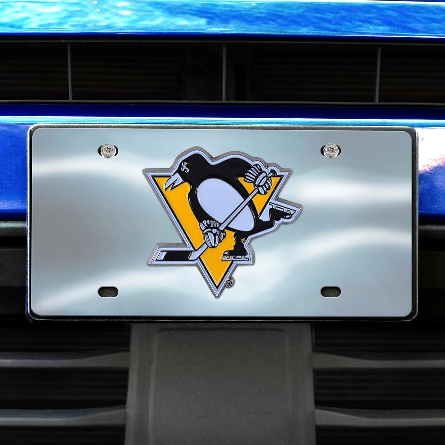 FANMATS NHL Unisex-Adult Die Cast License Plate