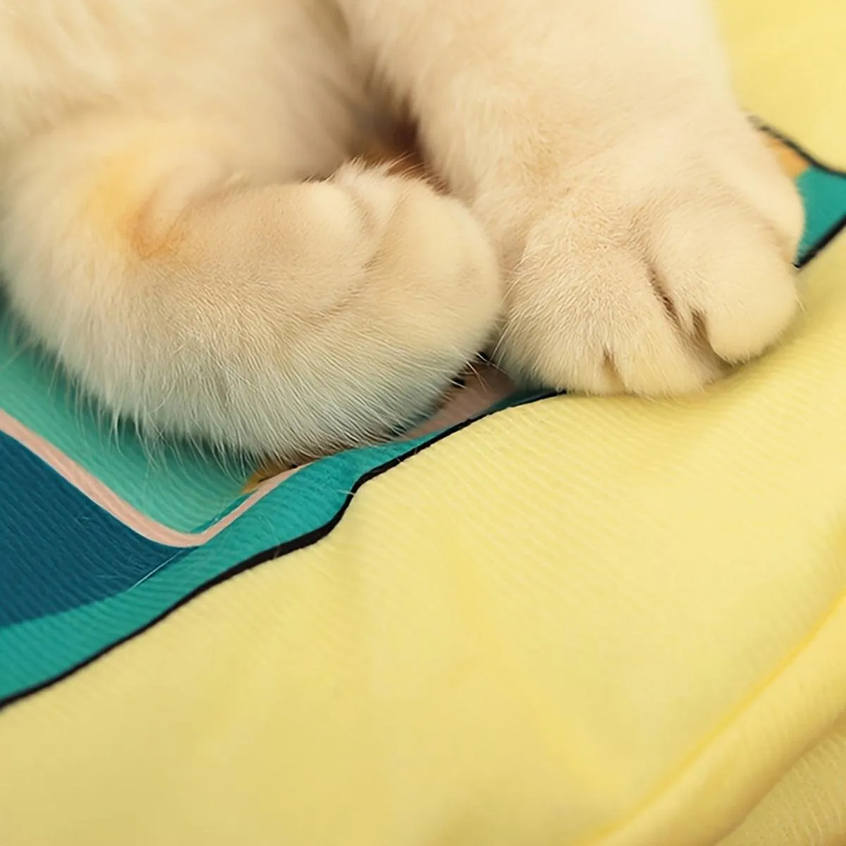 Foldable Cat Sleeping Mat Pet Bed Comfortable Soft Cushion for Cats and Kittens