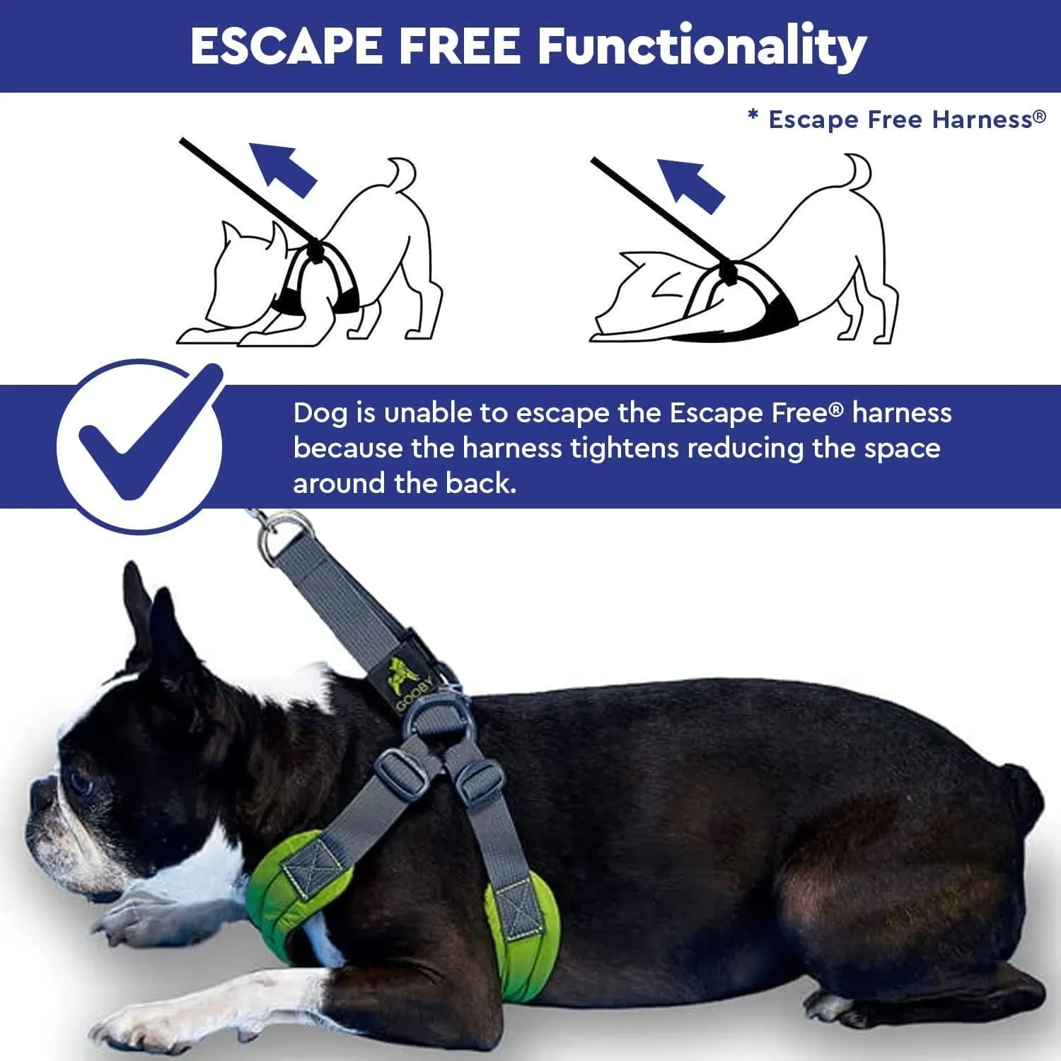 Gooby Sporty Escape Free Harness, Medium - Black, Neoprene, No-Pull, 4-Point Adjustment for Small Dogs up to 35 lbs