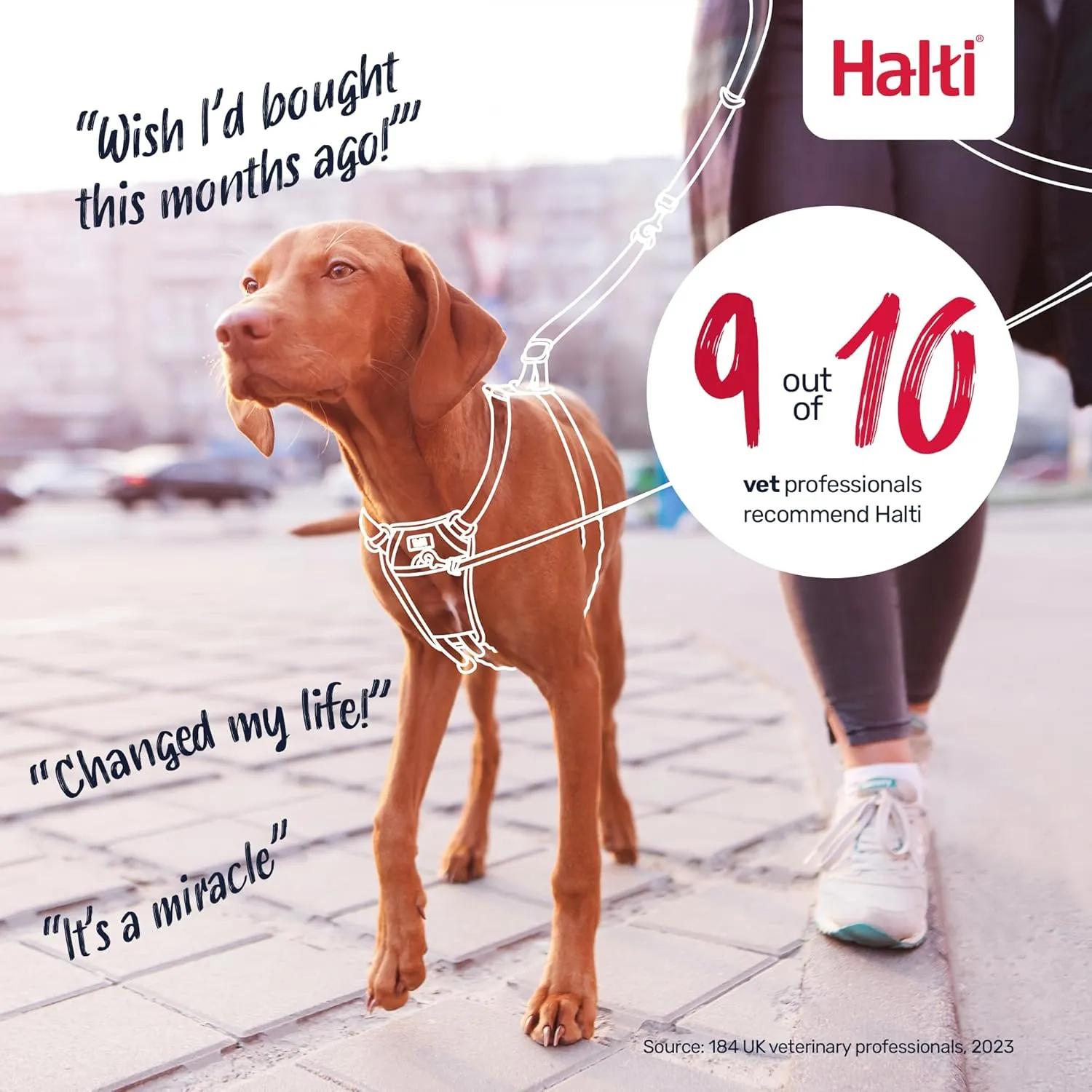 HALTI No Pull Harness - to Stop Your Dog Pulling on The Leash. Adjustable, Lightweight and Easy to Use. Reflective Dog Training Harness for Small Dogs (Size S, Deep Walnut)