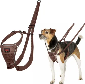 HALTI No Pull Harness - to Stop Your Dog Pulling on The Leash. Adjustable, Lightweight and Easy to Use. Reflective Dog Training Harness for Small Dogs (Size S, Deep Walnut)