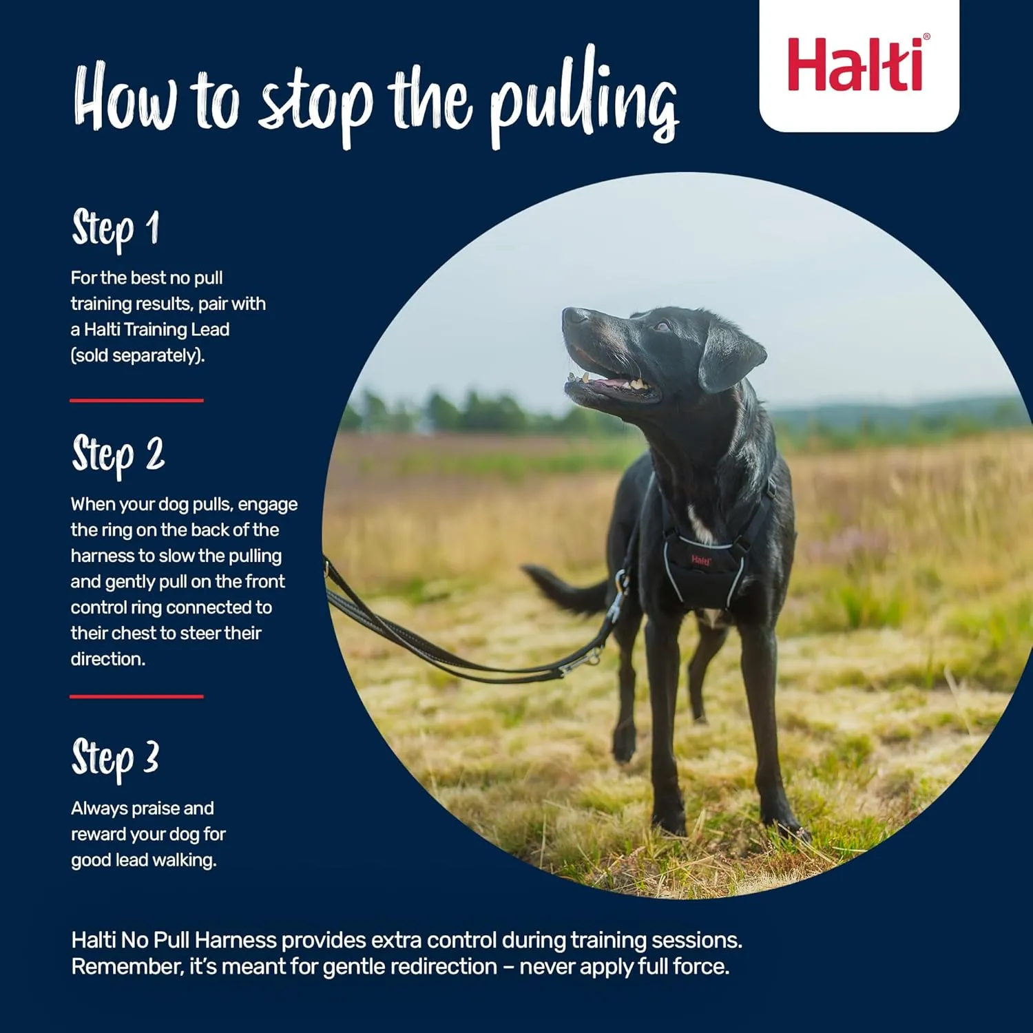HALTI No Pull Harness - to Stop Your Dog Pulling on The Leash. Adjustable, Lightweight and Easy to Use. Reflective Dog Training Harness for Small Dogs (Size S, Deep Walnut)