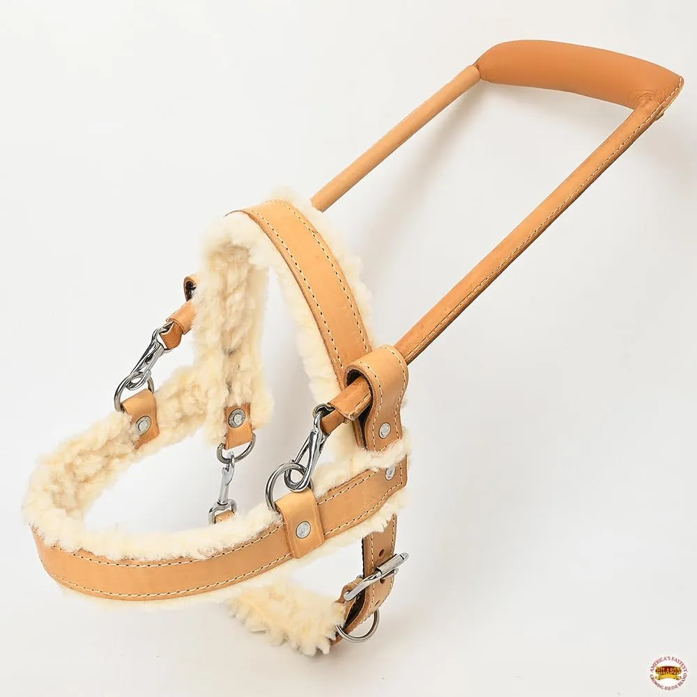 HILASON Guide Dog Harness Tan Fleece Padded Genuine Leather with Handle Tan | Dog Harness with Adjustable Straps |Fleece Dog Harness with Handle for Training | Breathable Dog Harness | Therapy Dog