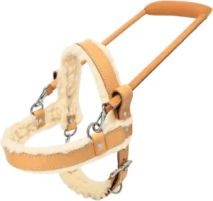 HILASON Guide Dog Harness Tan Fleece Padded Genuine Leather with Handle Tan | Dog Harness with Adjustable Straps |Fleece Dog Harness with Handle for Training | Breathable Dog Harness | Therapy Dog