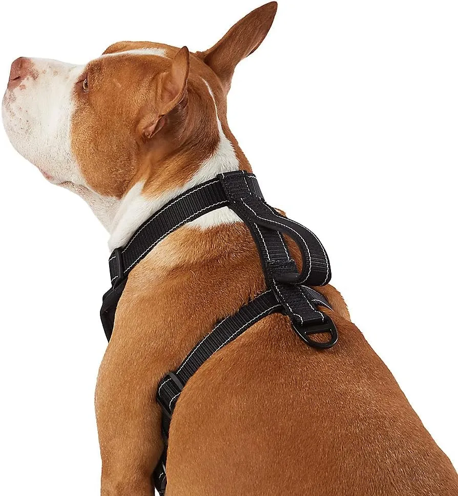 KONG Max Ultra Durable Neoprene Padded Chest Plate Dog Harness Offered by The Barker Company (Black, Large)