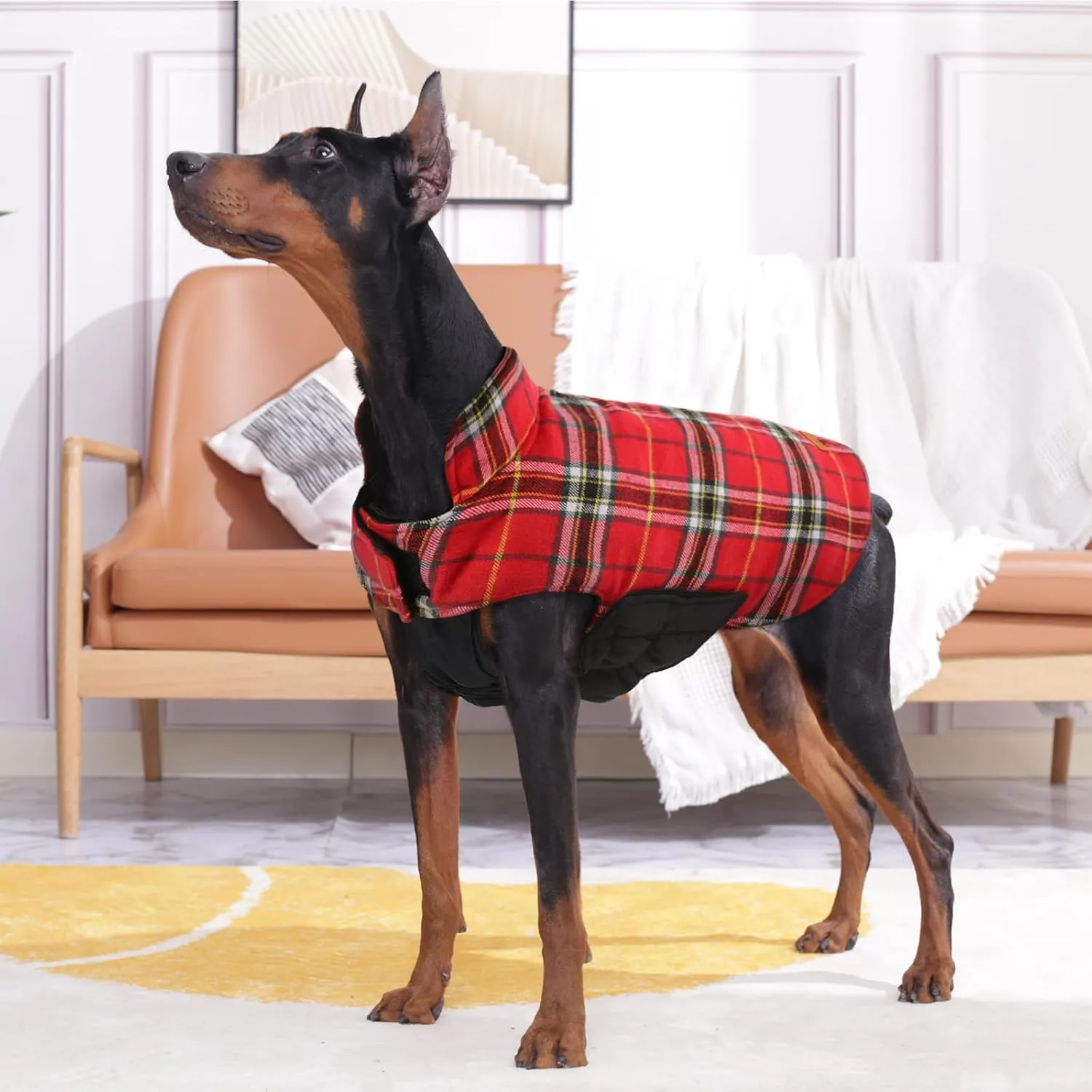 Kuoser Warm Dog Coat, Waterproof Dog Coats for X-Small Dogs, Adjustable Durable Doggie Winter Jacket Reversible Cozy Puppy Cold Weather Apparel from Small to Large Breed, Bright Red XS