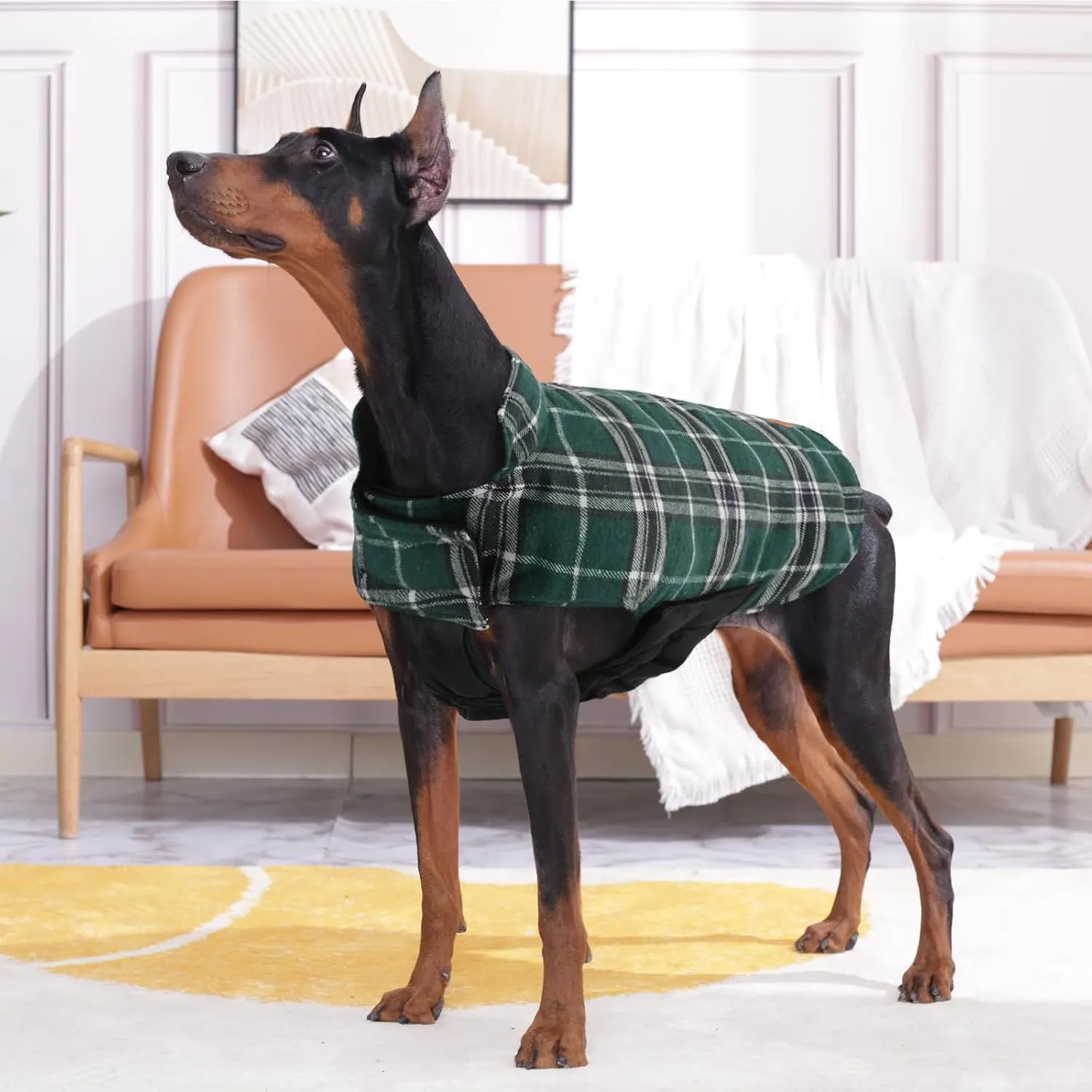Kuoser Warm Dog Coat, Waterproof Dog Coats for X-Small Dogs, Adjustable Durable Doggie Winter Jacket Reversible Cozy Puppy Cold Weather Apparel from Small to Large Breed, Green XS