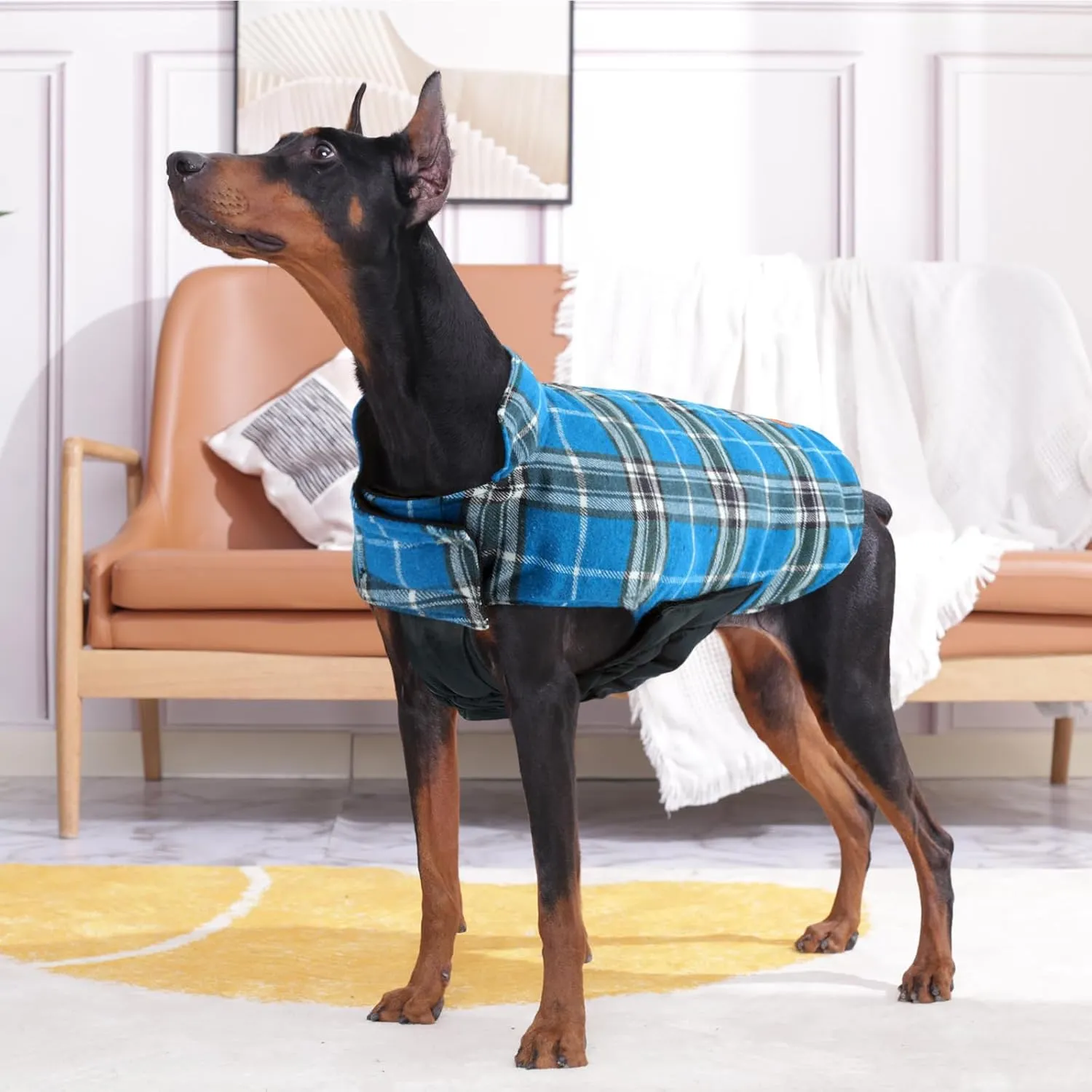 Kuoser Waterproof Dog Coat, Reversible Dog Jacket for Medium Dogs, Adjustable Durable Doggie Winter Coat Warm Puppy Cold Weather Apparel from Small to Large Breed, Blue M