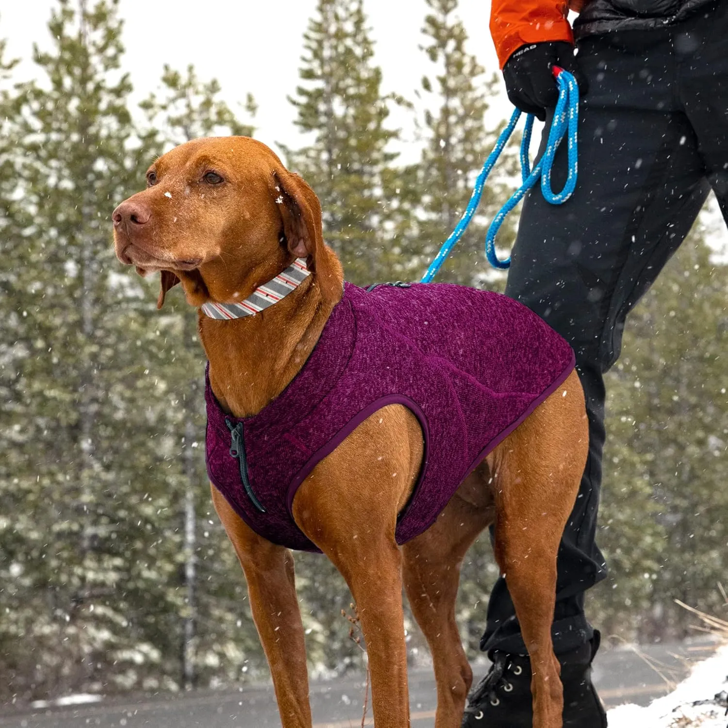 Kurgo Core Dog Sweater, Knit Dog Sweater with Fleece Lining, Cold Weather Pet Jacket, Zipper Opening for Harness, Adjustable Neck, Year-Round Sweater for Large Dogs (Heather Purple, Large)