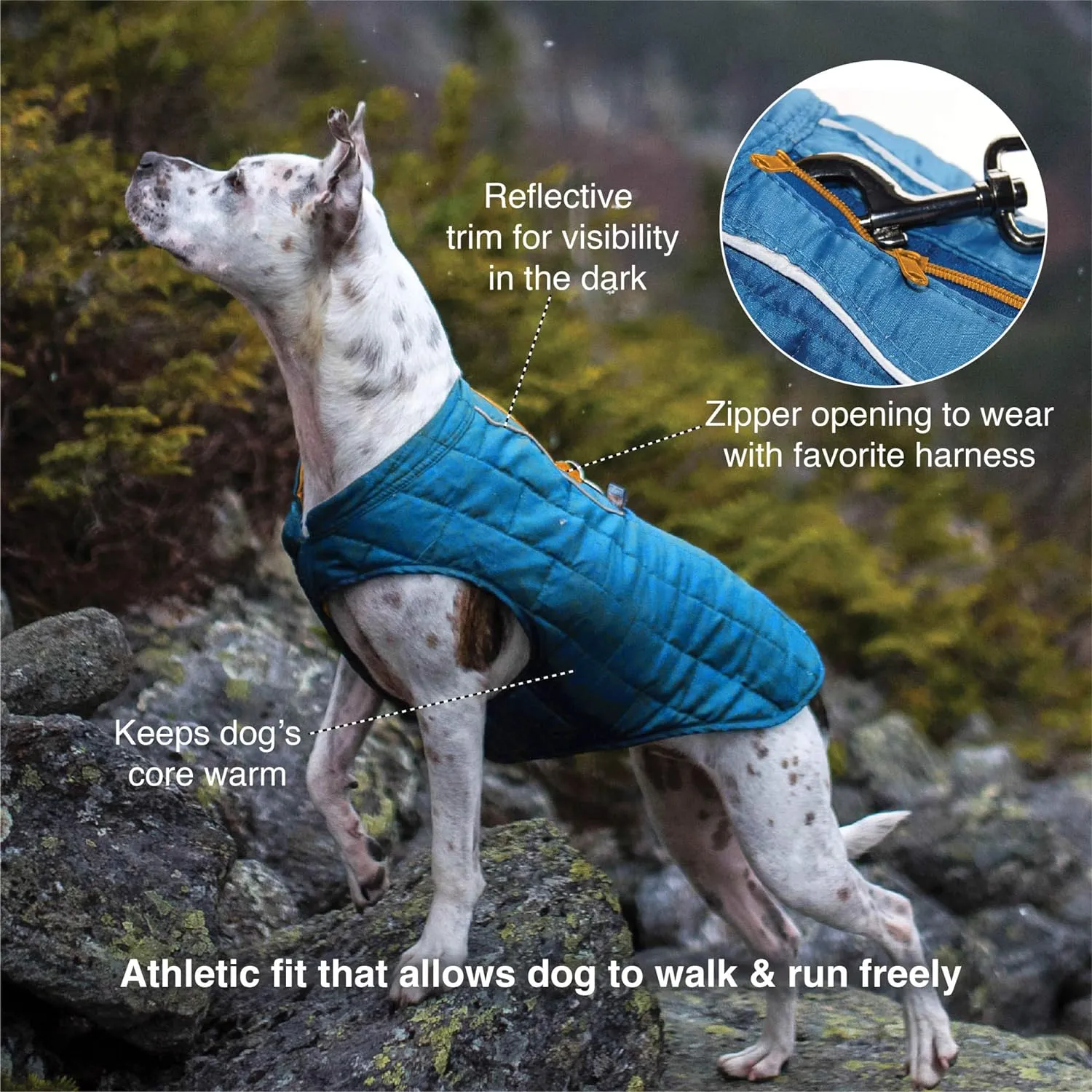 Kurgo Loft Dog Jacket, Reversible Dog Coat, Wear with Harness or Sweater, Water Resistant, Reflective, Winter Coat for Large Dogs (Ink Blue, L)