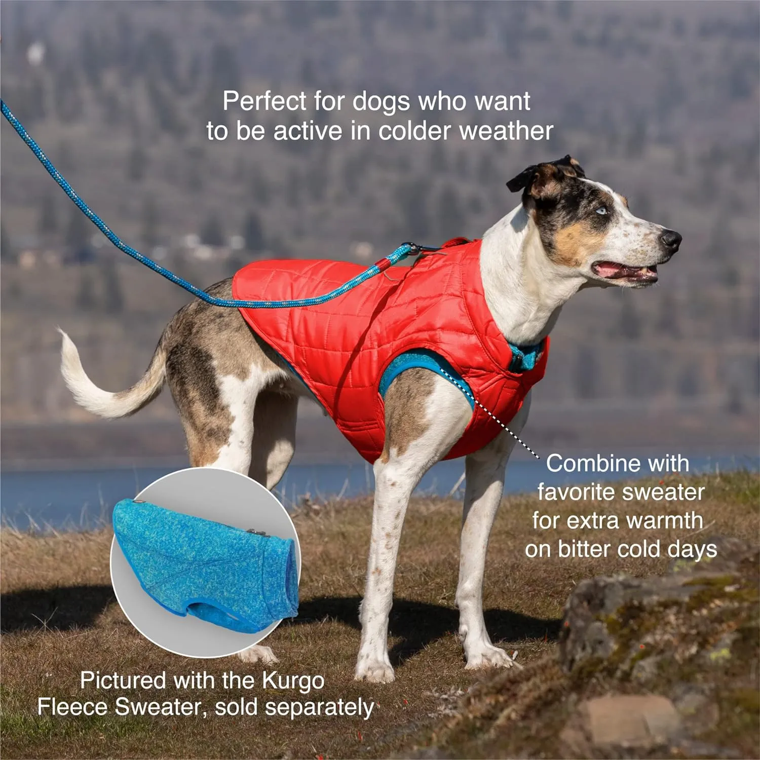 Kurgo Loft Dog Jacket, Reversible Dog Coat, Wear with Harness or Sweater, Water Resistant, Reflective, Winter Coat for Large Dogs (Ink Blue, L)