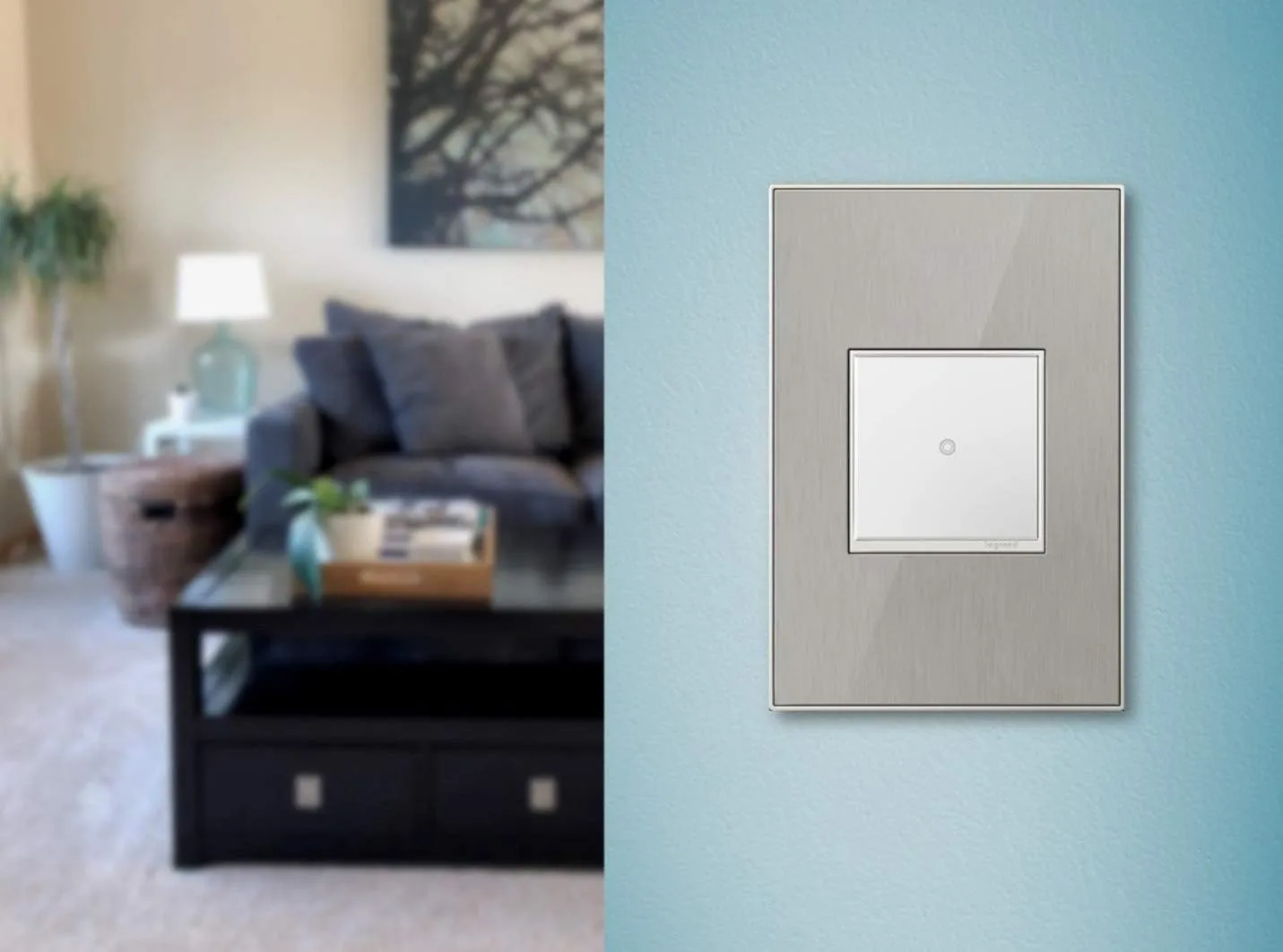 Legrand adorne 1-Gang Brushed Stainless Square Stainless Steel Wall Plate