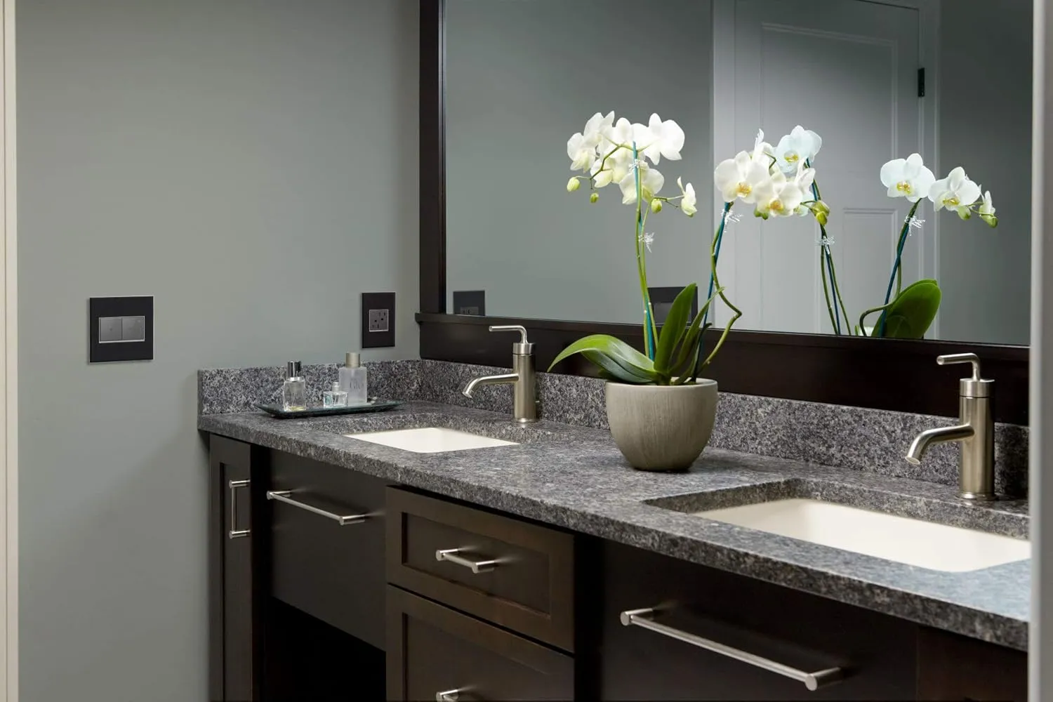 Legrand adorne 1-Gang Brushed Stainless Square Stainless Steel Wall Plate