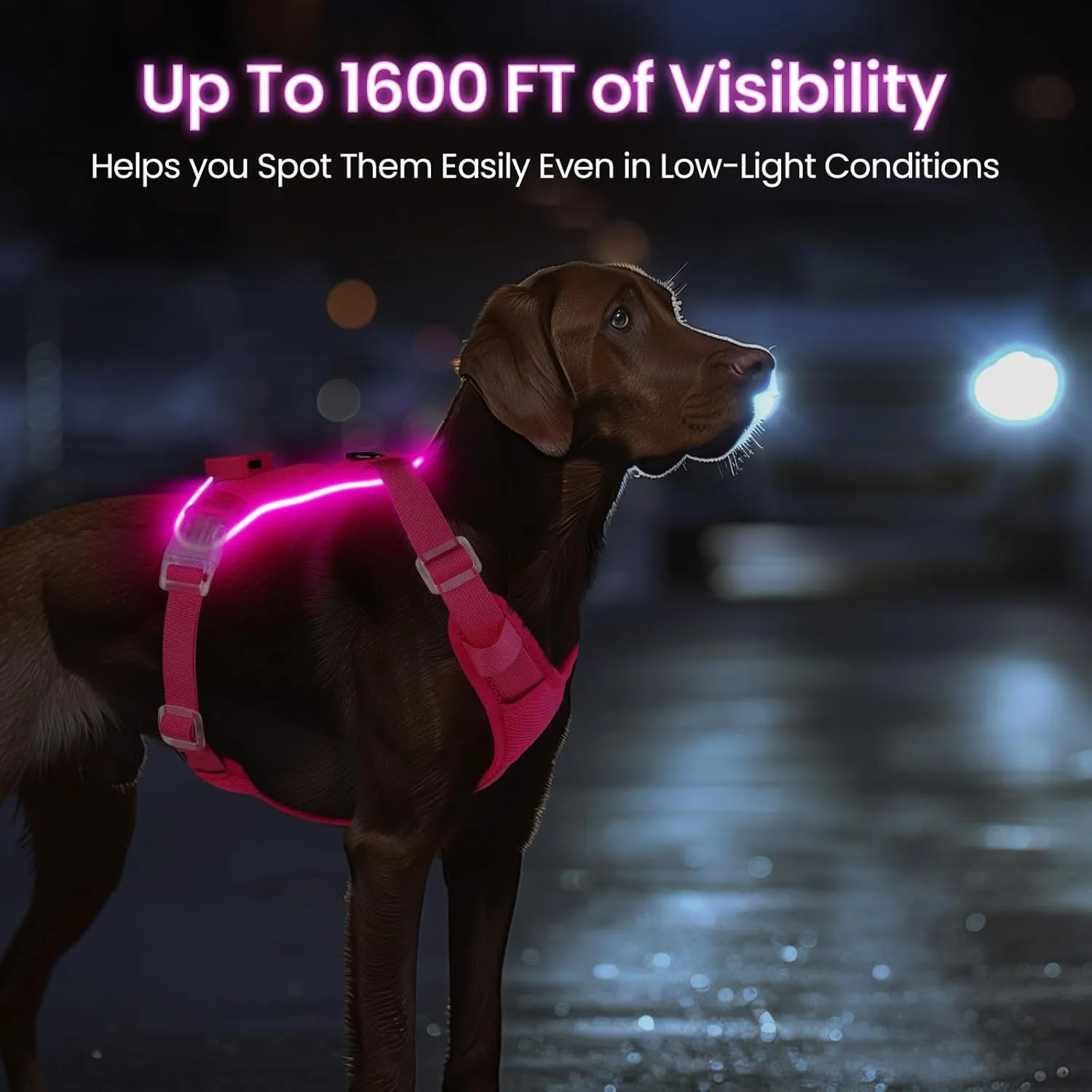 Light Up Dog Harness,Reflective Pet Harness Rechargeable,Led Dog Vest Harness for Night Walking,Adjustable Dog Safety Vest for Small Medium Large Dogs-No Pull,Pink,XL