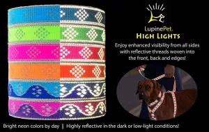 Lupine Reflective Large Adjustable Dog Harness 1" Wide Pink Paws with 24-38" Girth