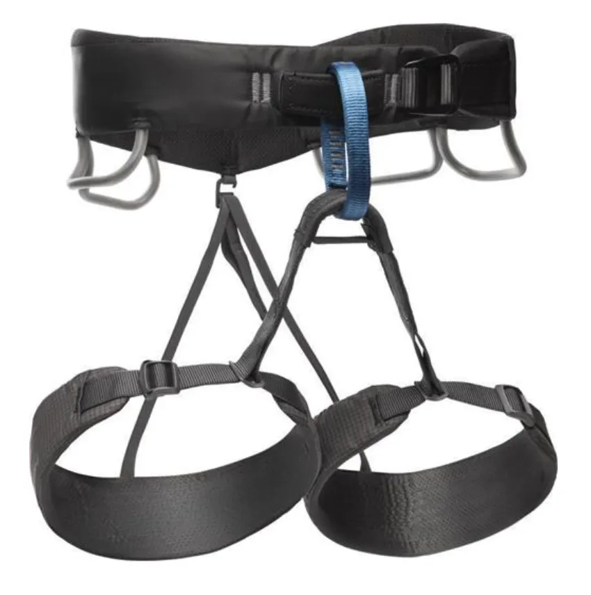 M Momentum Harness