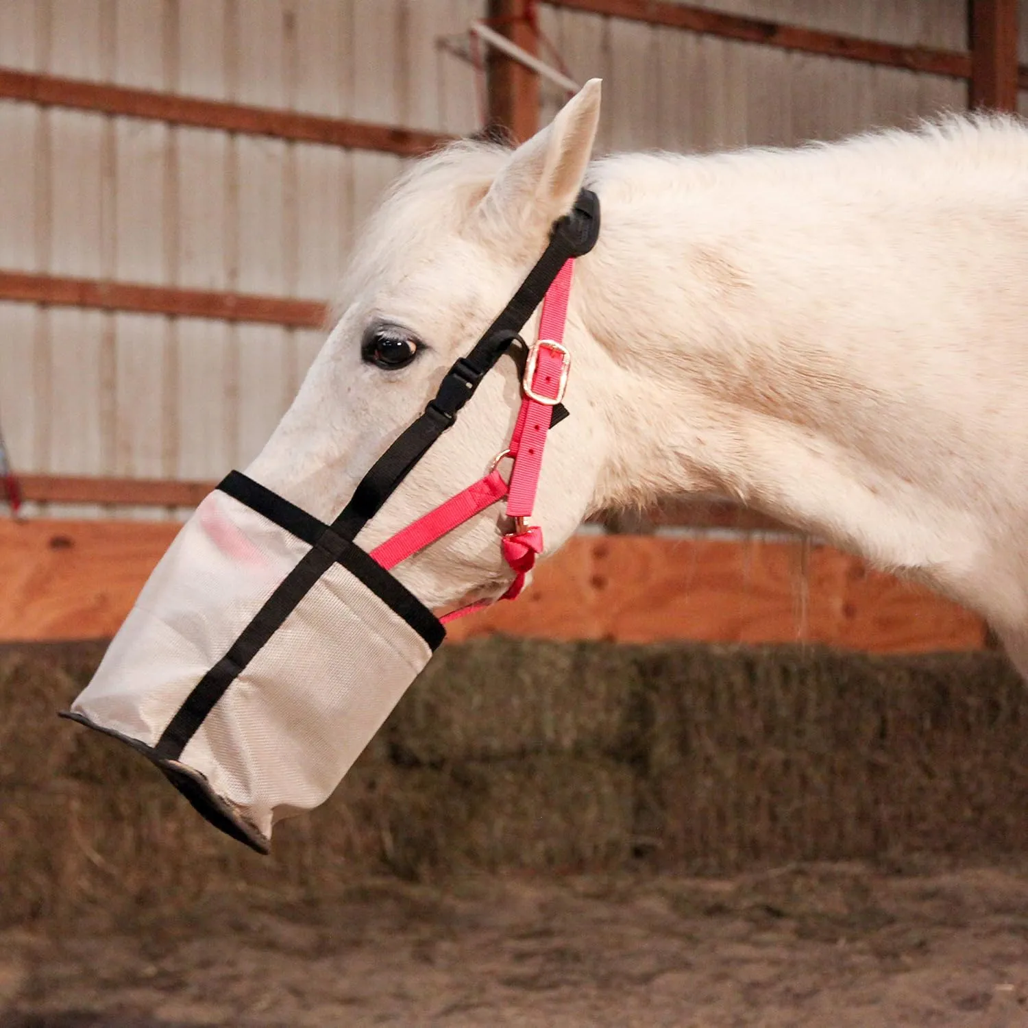 Majestic Ally Horse Feed Bag, Heavy Duty Nylon Mesh Grain Feed Bag, Adjustable Strap with Durable Snap and Elastic Straps, Comfort Neck Pad and Nose Pad- Large (Full, Dark Gray)