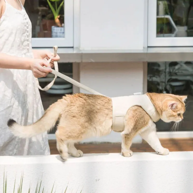 Mesh Canvas Cat Harness & Leash