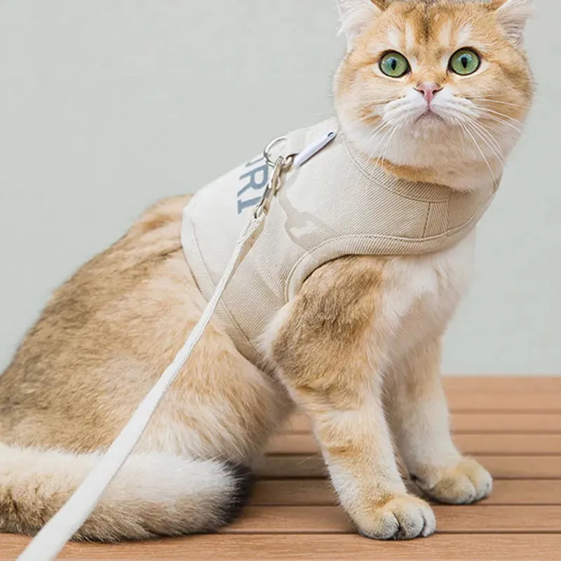 Mesh Canvas Cat Harness & Leash
