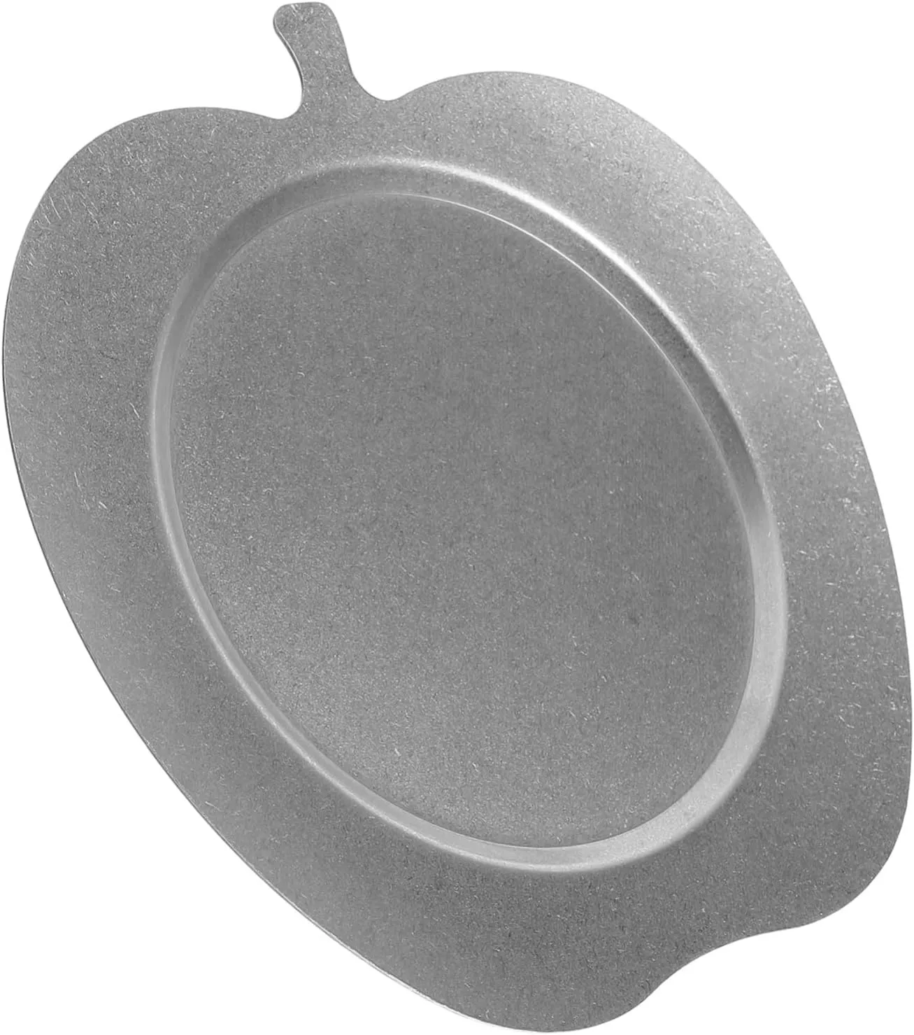 Mikinona Stainless Steel Dinner Plate Set Vintage Style Serving Trays for Pasta Steak Desserts Bbq Elegant for Hosting