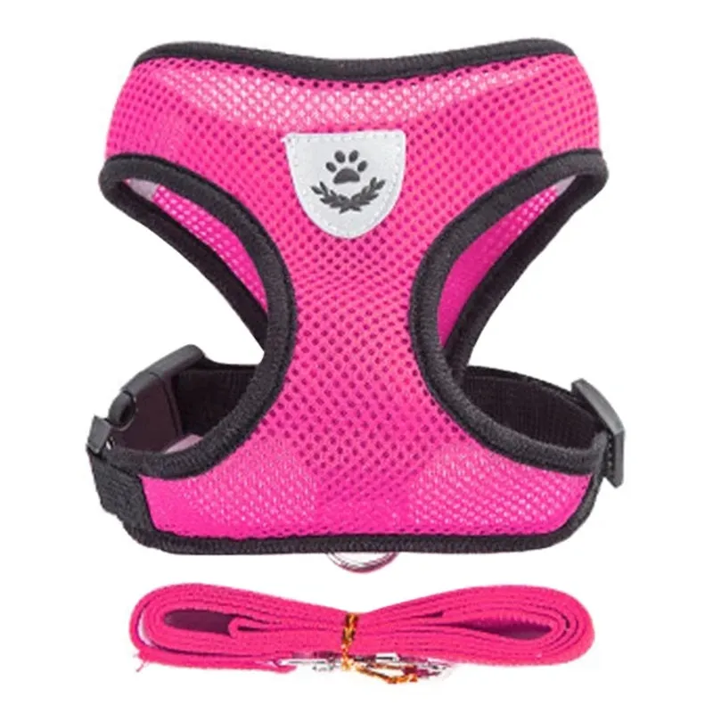 No-Escape Cat Harness & Leash Set – Soft, Secure & Adventure-Ready