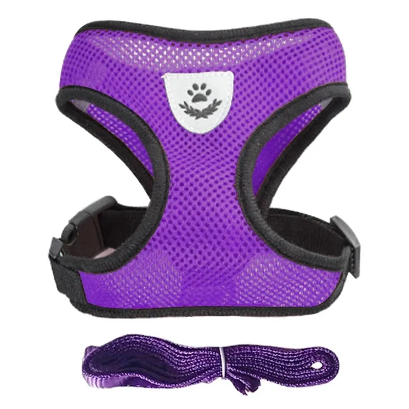 No-Escape Cat Harness & Leash Set – Soft, Secure & Adventure-Ready