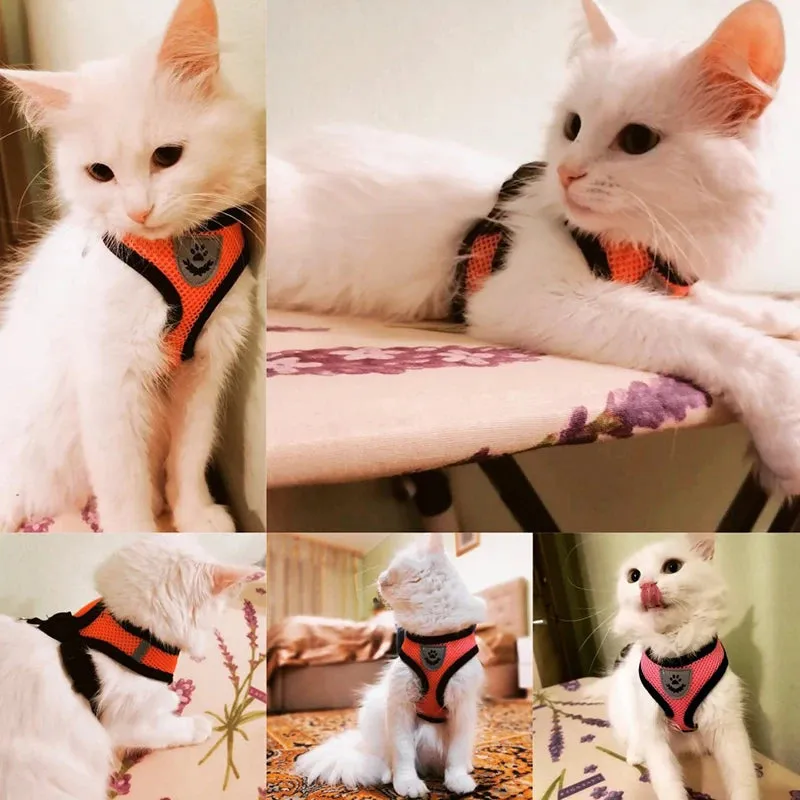 No-Escape Cat Harness & Leash Set – Soft, Secure & Adventure-Ready
