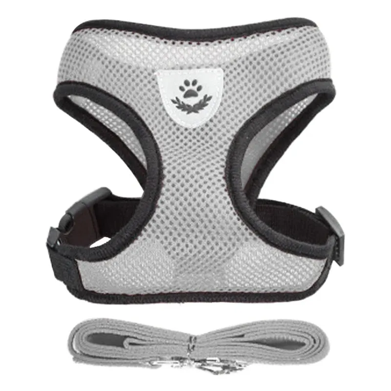 No-Escape Cat Harness & Leash Set – Soft, Secure & Adventure-Ready
