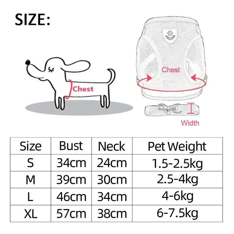 No-Escape Cat Harness & Leash Set – Soft, Secure & Adventure-Ready