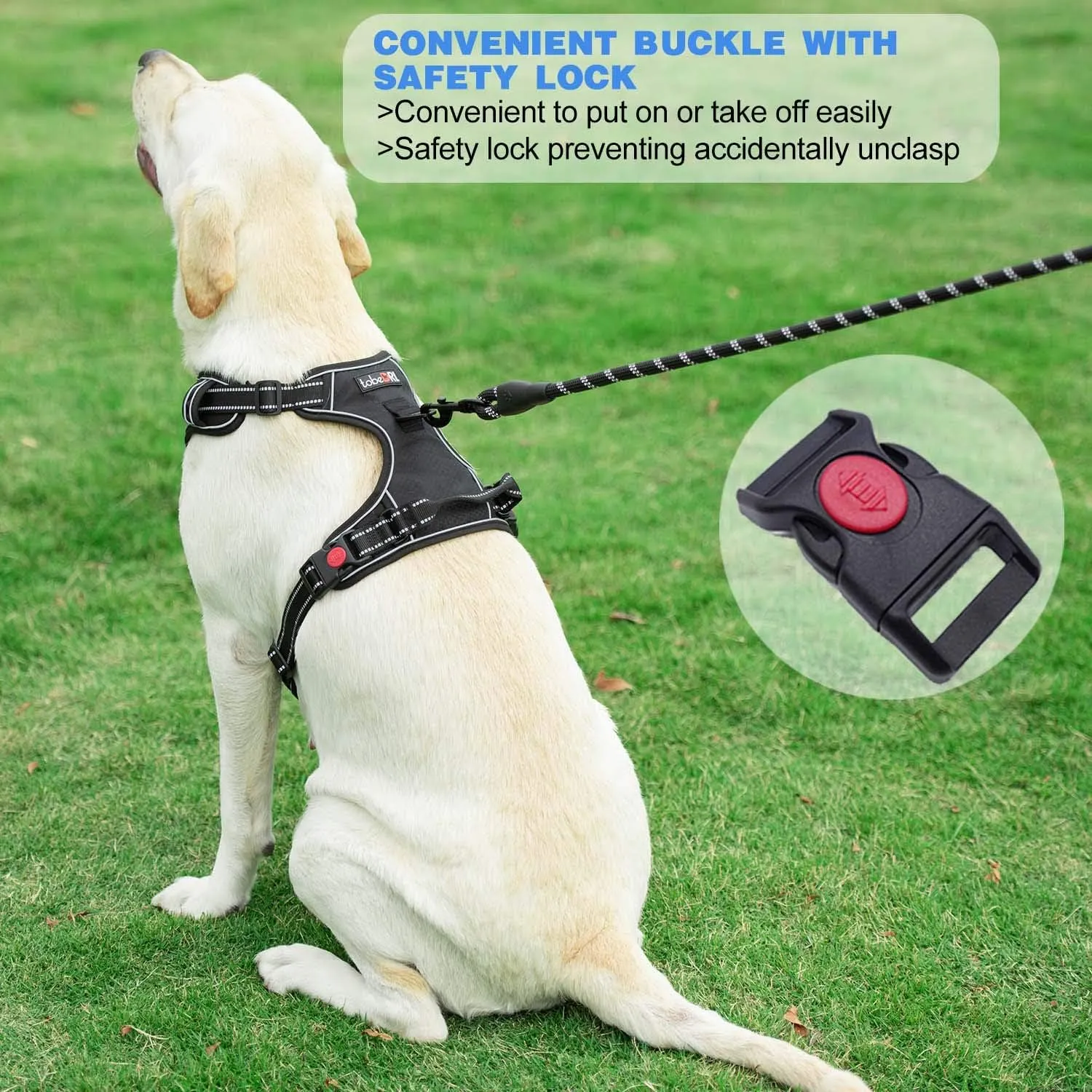 No Pull Dog Harness Adjustable Reflective Oxford Easy Control Medium Large Dog Harness with A Free Heavy Duty 5ft Dog Leash (M (Neck: 14.5"-20.5", Chest: 22"-28"), Purple Harness Leash)