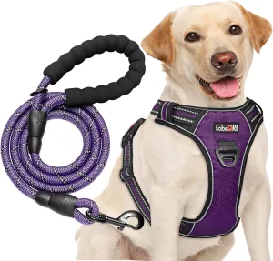 No Pull Dog Harness Adjustable Reflective Oxford Easy Control Medium Large Dog Harness with A Free Heavy Duty 5ft Dog Leash (M (Neck: 14.5"-20.5", Chest: 22"-28"), Purple Harness Leash)