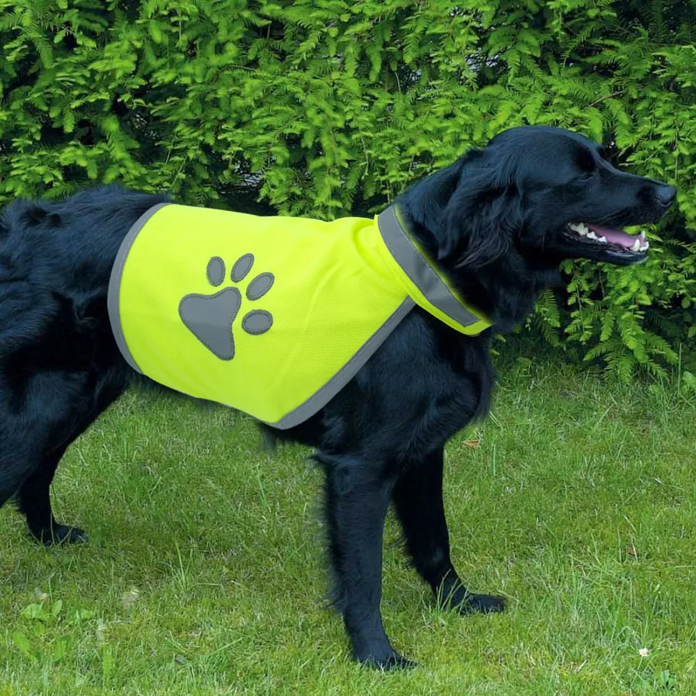 PawReflect™ | Never Worry About Losing Your Dog Again
