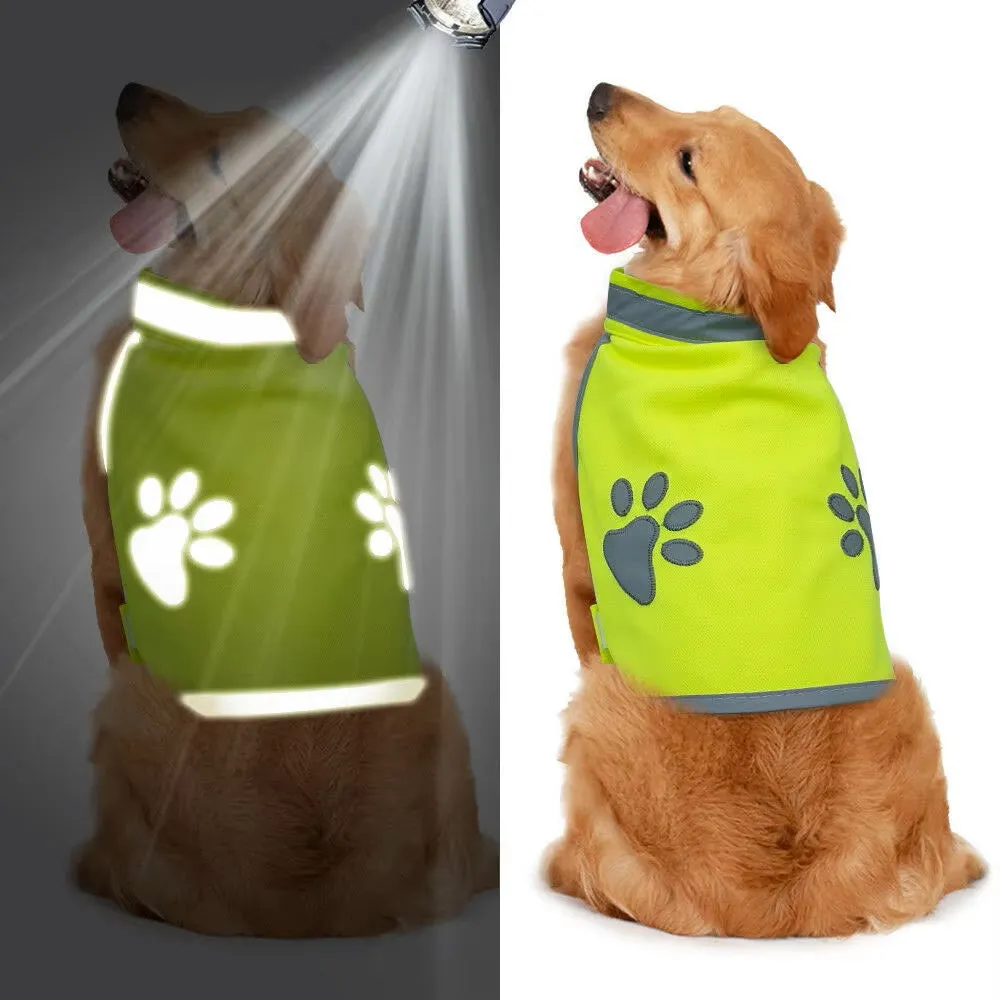 PawReflect™ | Never Worry About Losing Your Dog Again