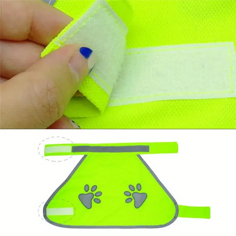PawReflect™ | Never Worry About Losing Your Dog Again