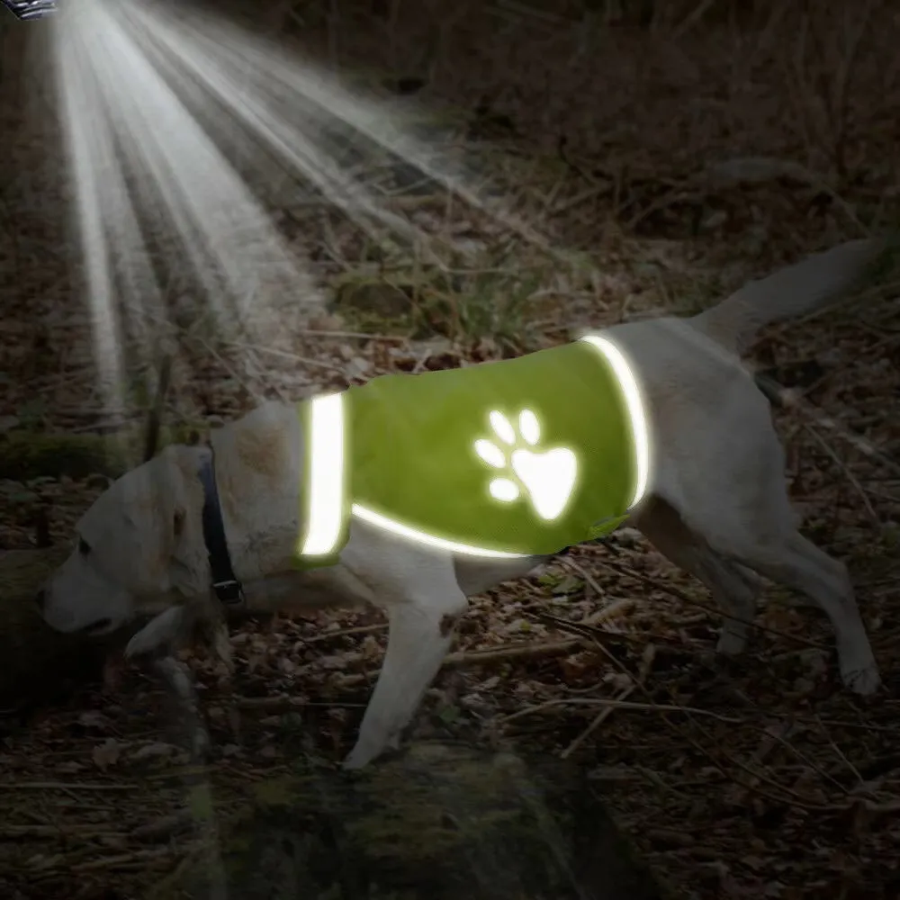 PawReflect™ | Never Worry About Losing Your Dog Again