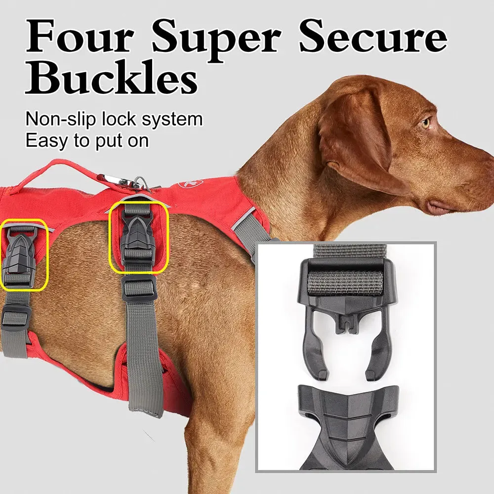Pawsitively Playful Pet Harness