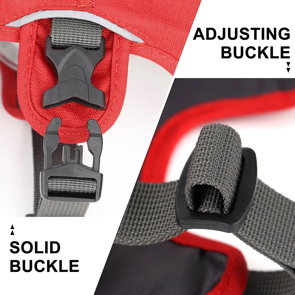 Pawsitively Playful Pet Harness