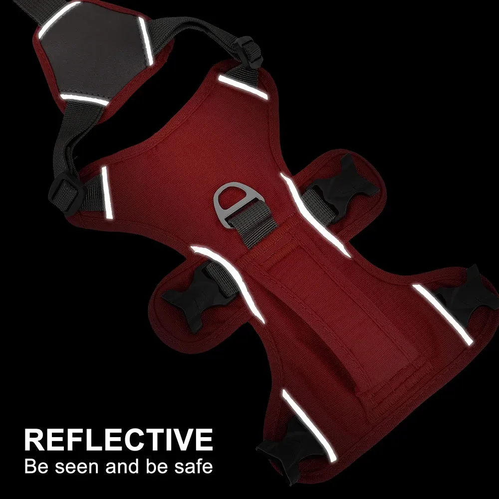 Pawsitively Playful Pet Harness