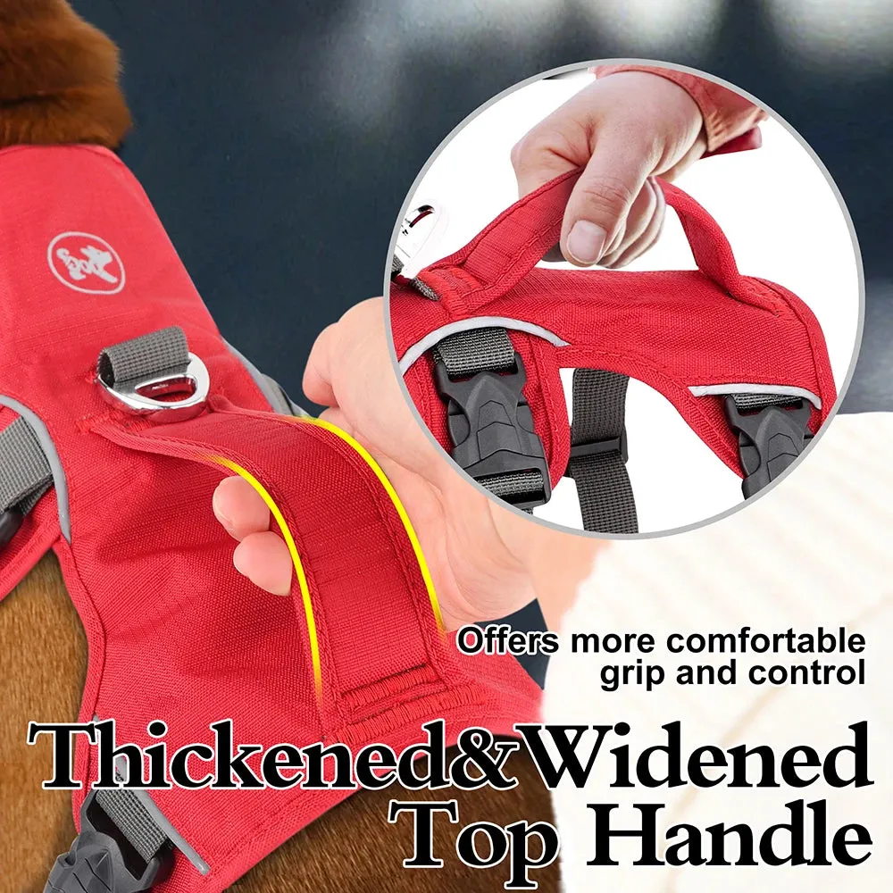 Pawsitively Playful Pet Harness