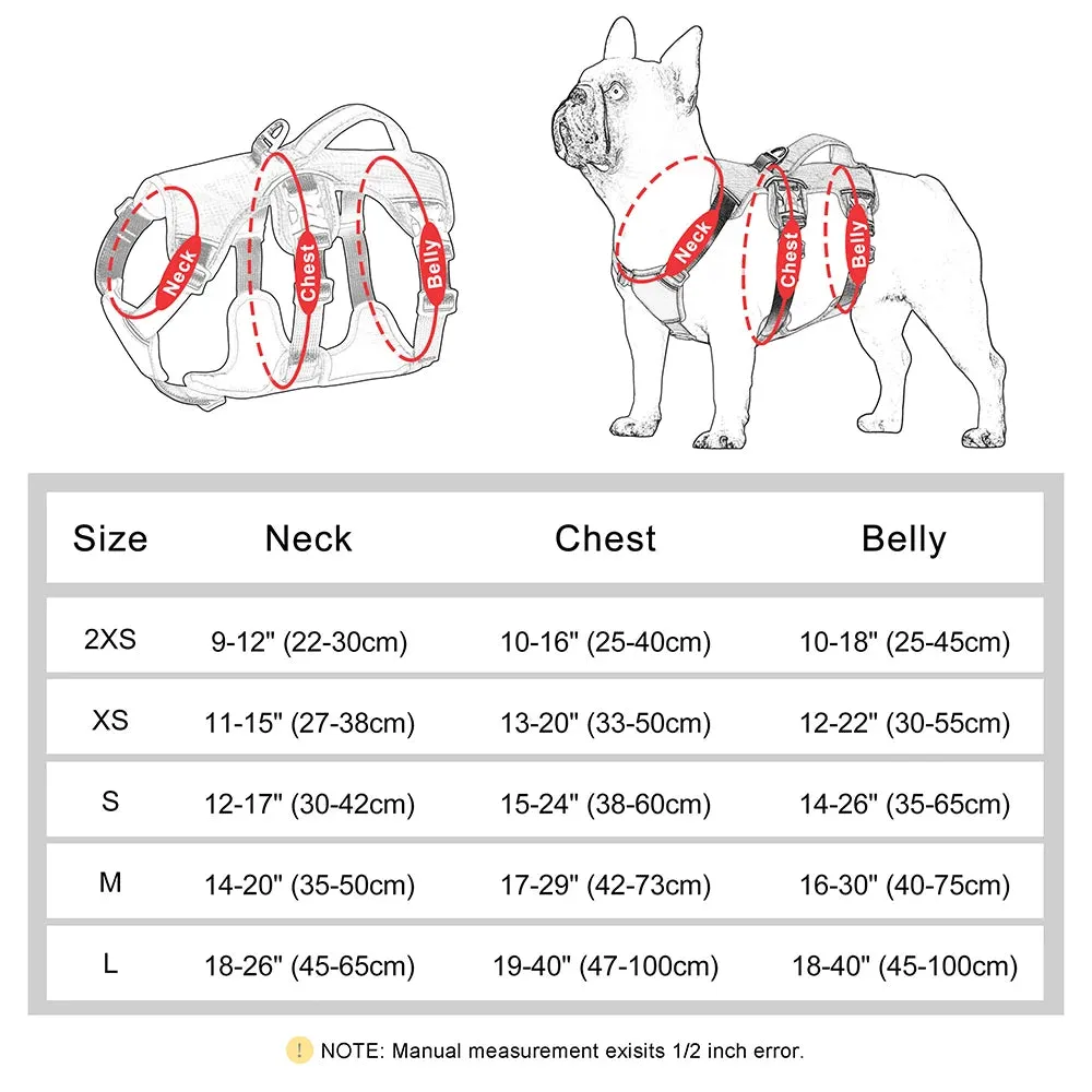 Pawsitively Playful Pet Harness