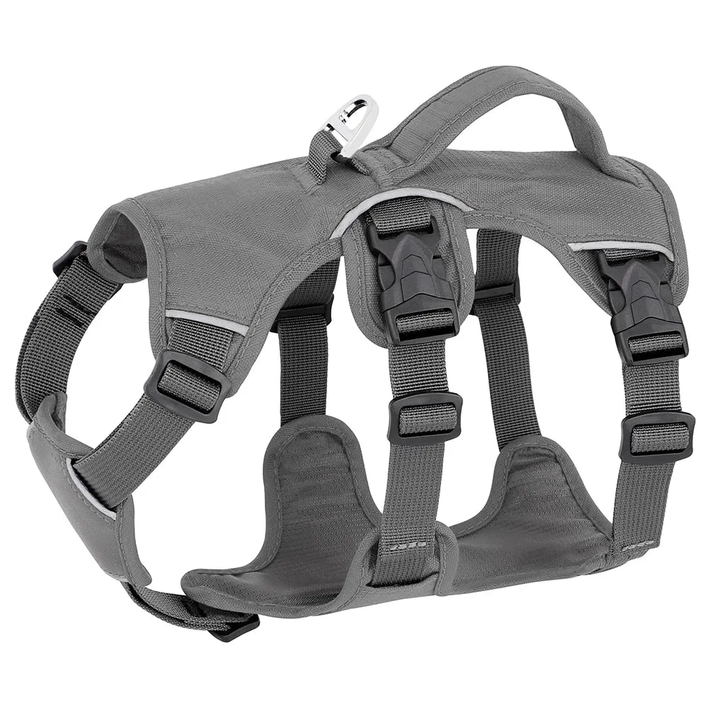 Pawsitively Playful Pet Harness
