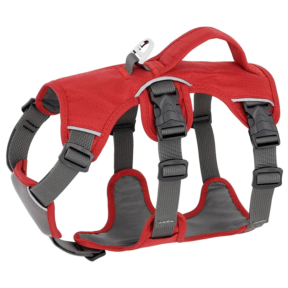 Pawsitively Playful Pet Harness
