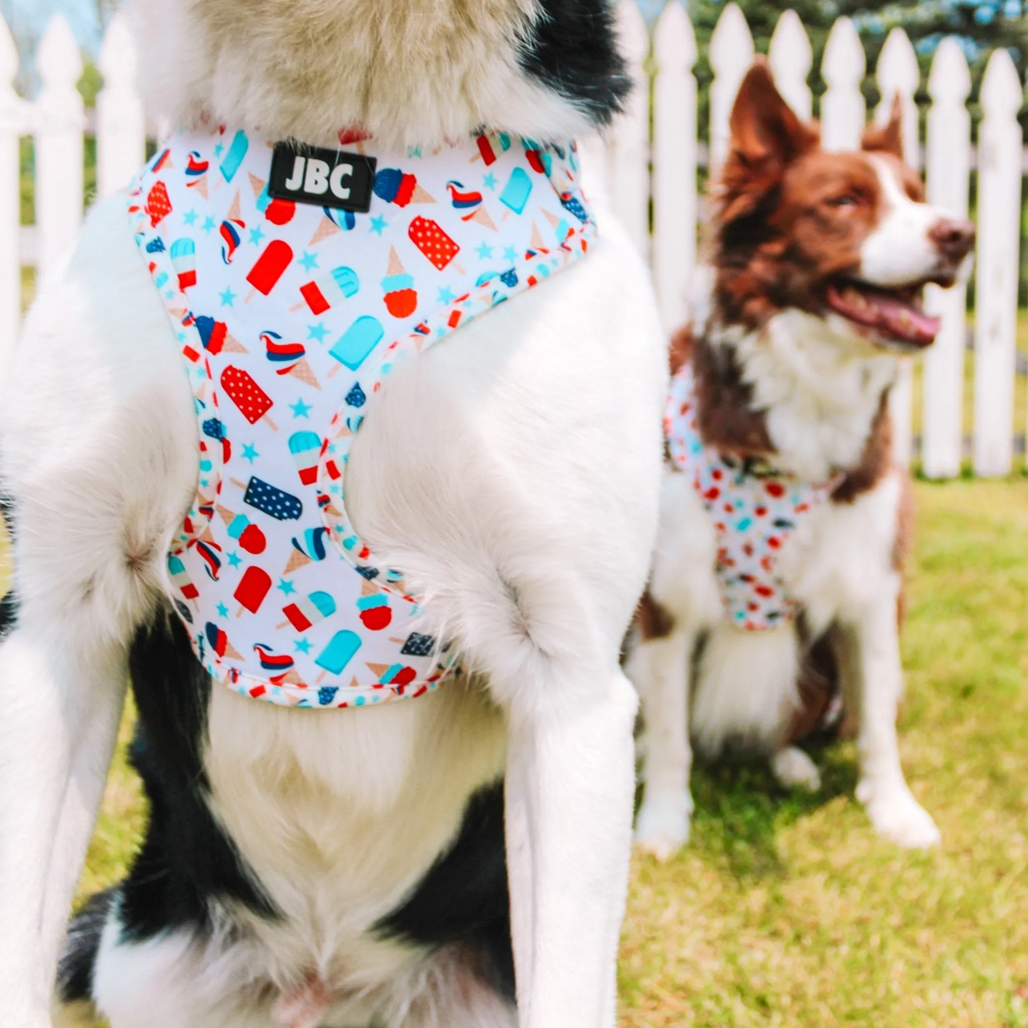 Pawtriotic Adjustable Harness