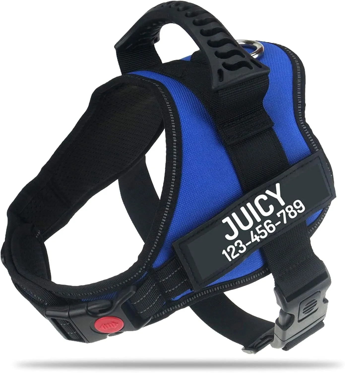 Personalized No Pull Dog Harness with Custom Name and Phone Number by PawPawify, Heavy Duty Pet Vest to Prevent Tugging, Pulling, or Choking, Training and Walking S Chest 20-25in Blue