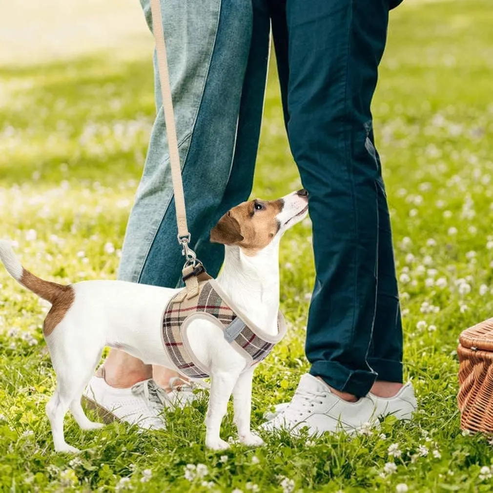 PUPTECK Adjustable Dog Harness Collar and Leash Set Step in No Pull Pet Harness for Small Medium Dogs Puppy and Cats Outdoor Walking Running, Soft Mesh Padded Reflective Vest Harnesses, Beige XL