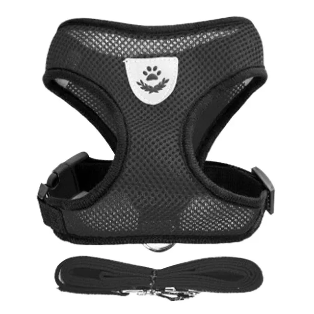 "Pet Walk & Lead Set: Adjustable Cat Harness & Traction Rope"