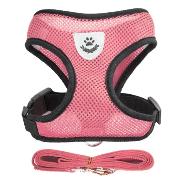 "Pet Walk & Lead Set: Adjustable Cat Harness & Traction Rope"