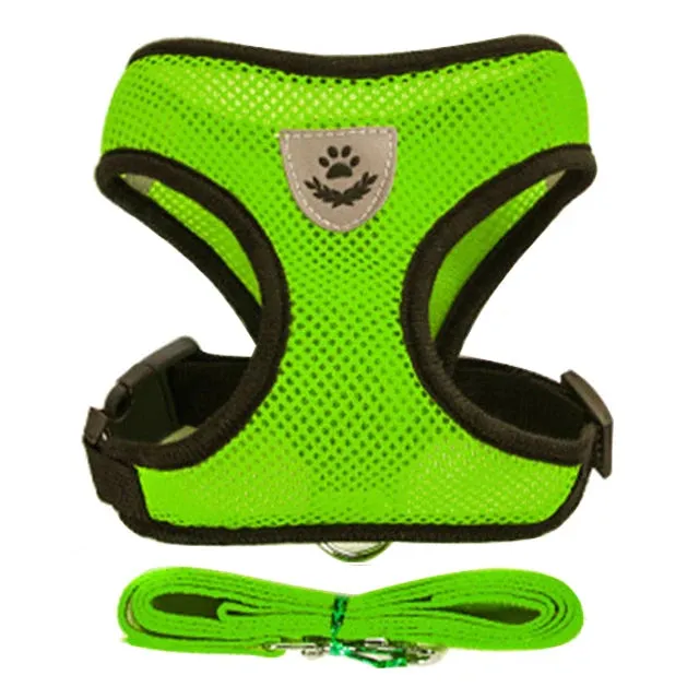 "Pet Walk & Lead Set: Adjustable Cat Harness & Traction Rope"